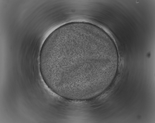 X0000116570951200912311950