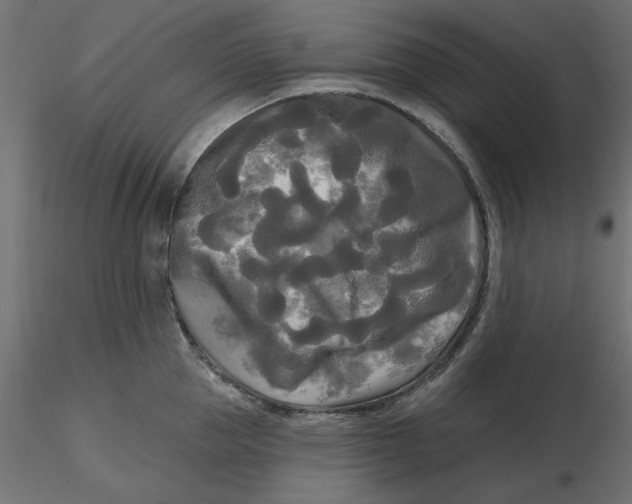 X0000116570953200912311951