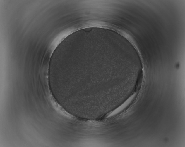 X0000116570954200912311951