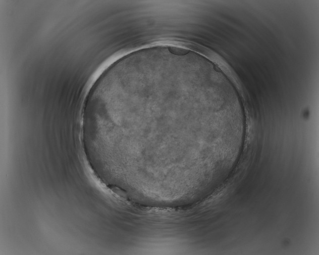 X0000116570955200912311951