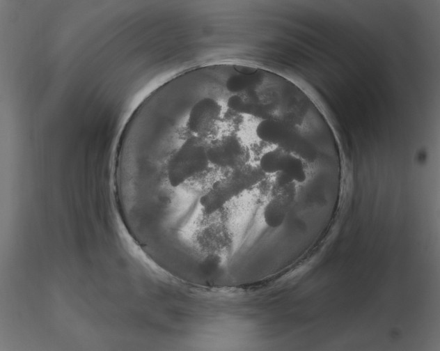 X0000116570957200912311951