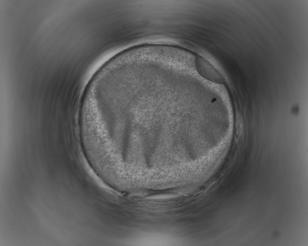 X0000116570959200912311951