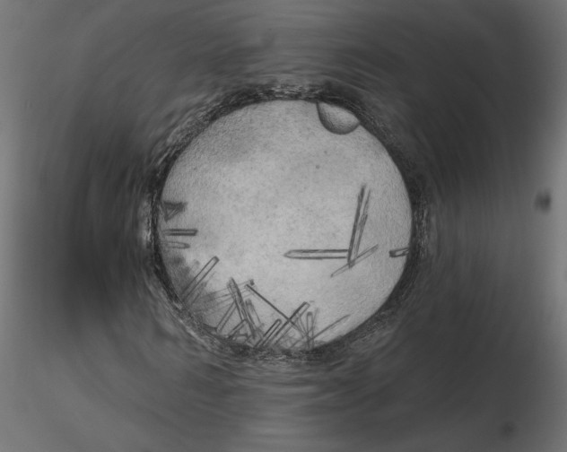 X0000116570962200912311950