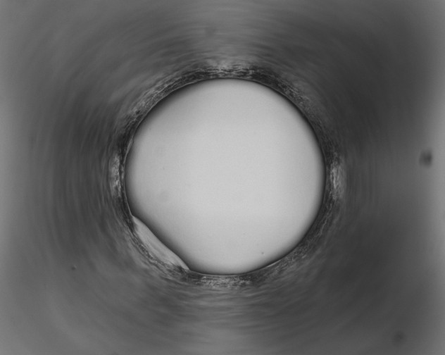 X0000116570963200912311950