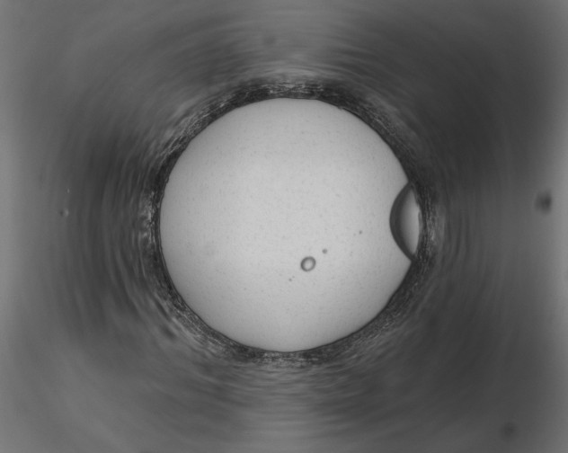 X0000116570964200912311950