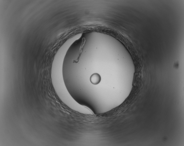 X0000116570965200912311950