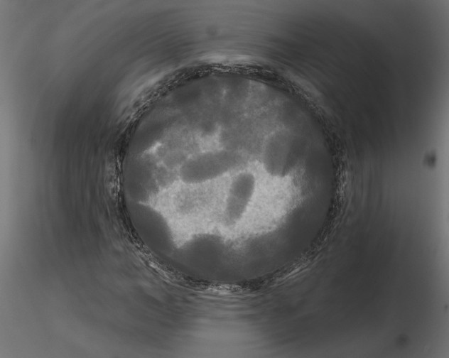 X0000116570966200912311950