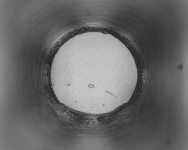 X0000116570968200912311950