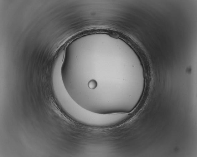 X0000116570969200912311950