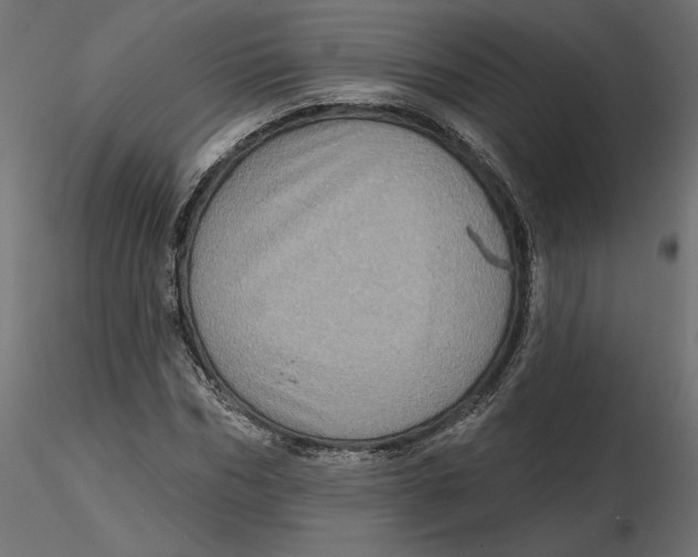 X0000116570970200912311950