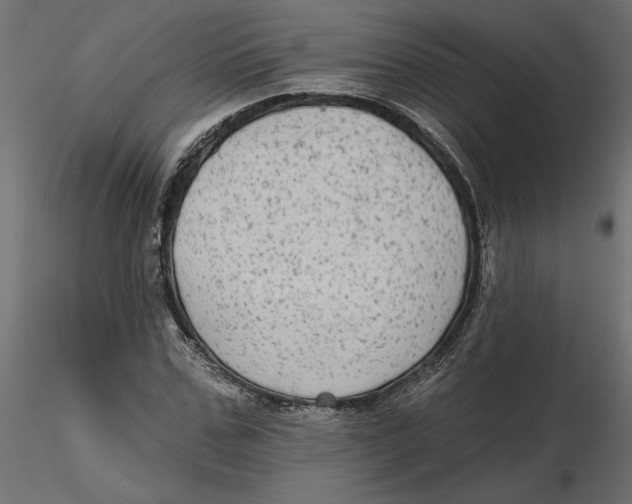 X0000116570971200912311950