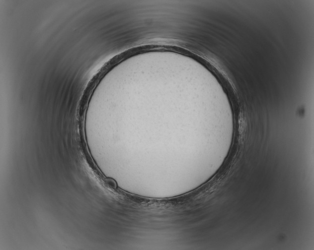 X0000116570972200912311950