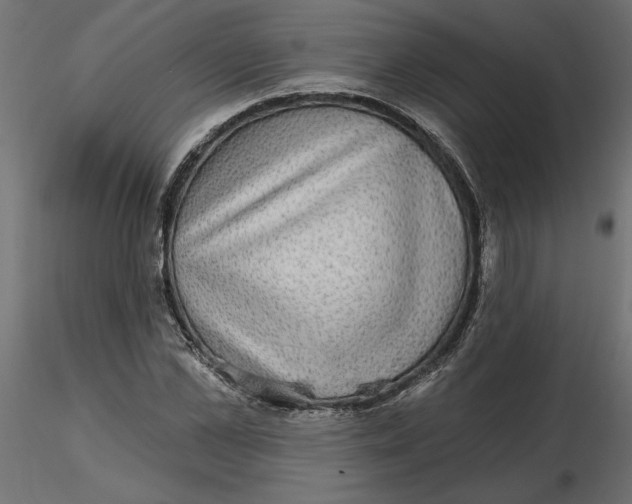 X0000116570973200912311950