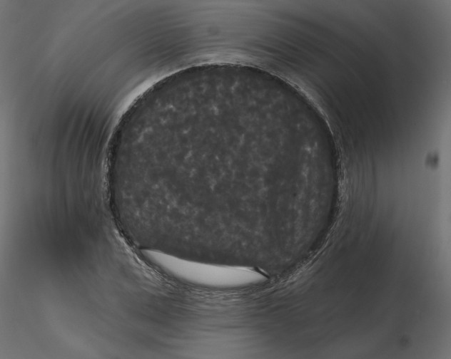 X0000116570975200912311950