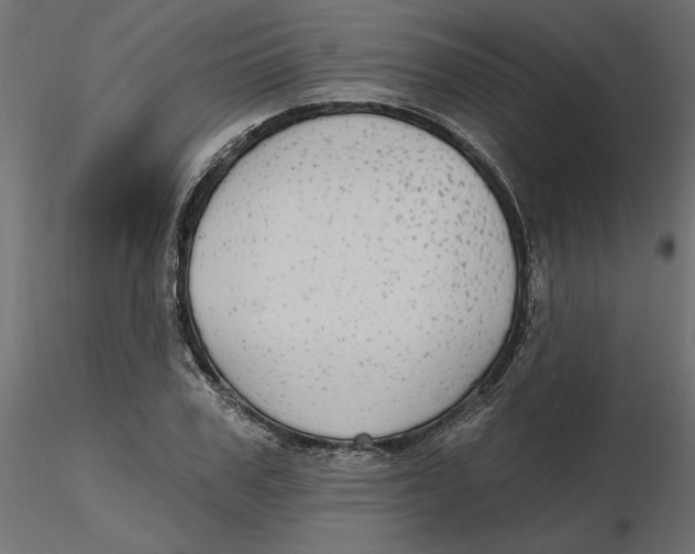 X0000116570979200912311950