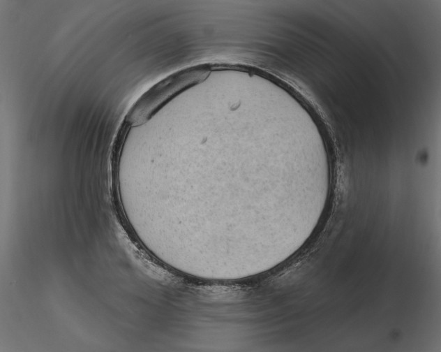 X0000116570980200912311950