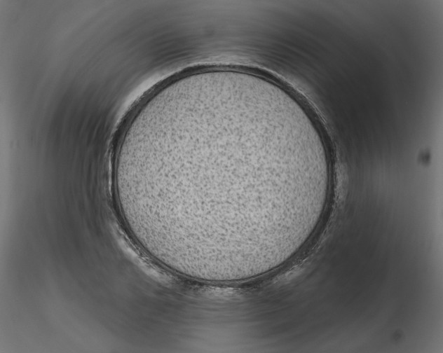 X0000116570982200912311950