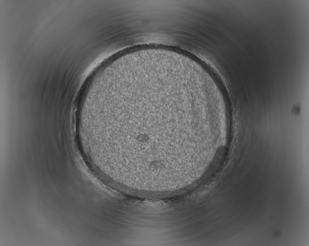 X0000116570983200912311950