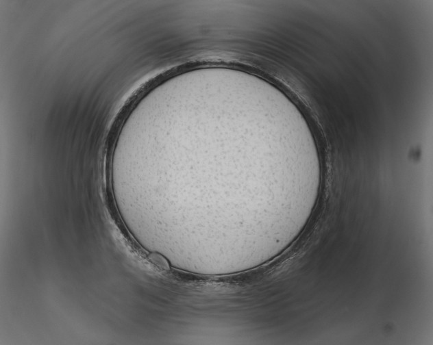 X0000116570984200912311950