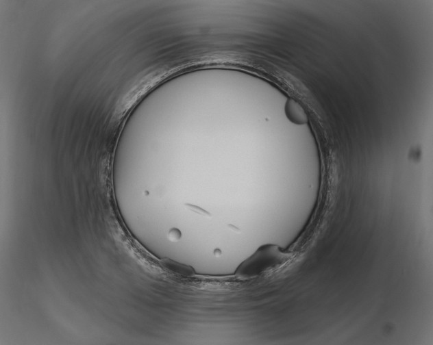 X0000116570985200912311950