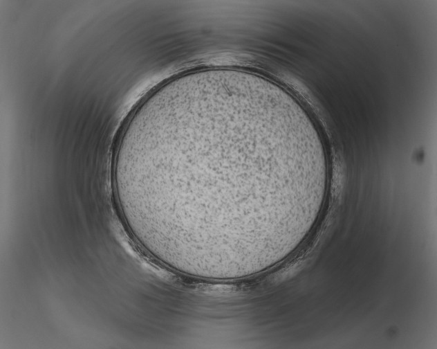 X0000116570986200912311950