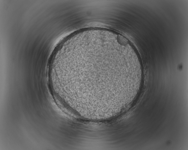 X0000116570987200912311950