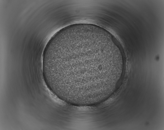 X0000116570988200912311950