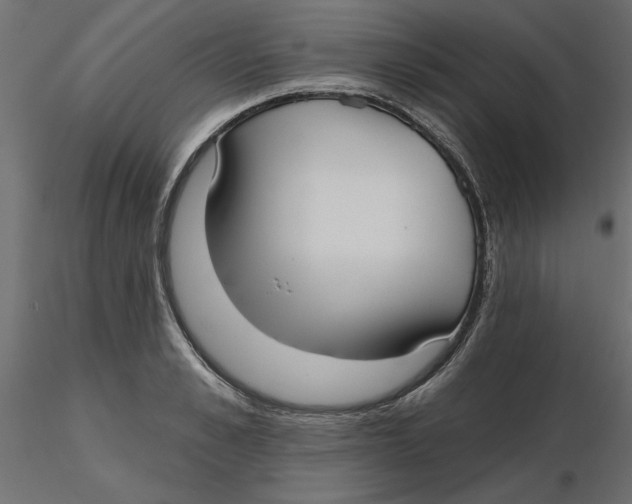 X0000116570989200912311950