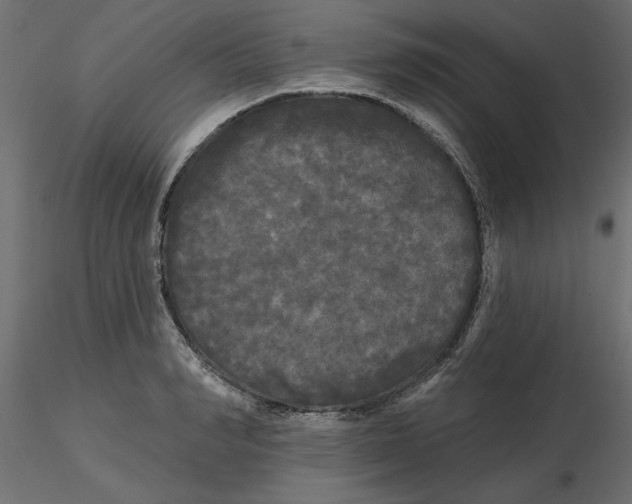 X0000116570990200912311950