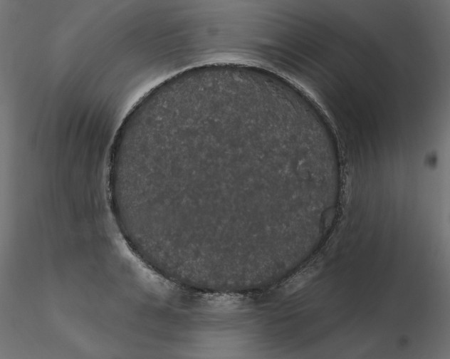 X0000116570991200912311950