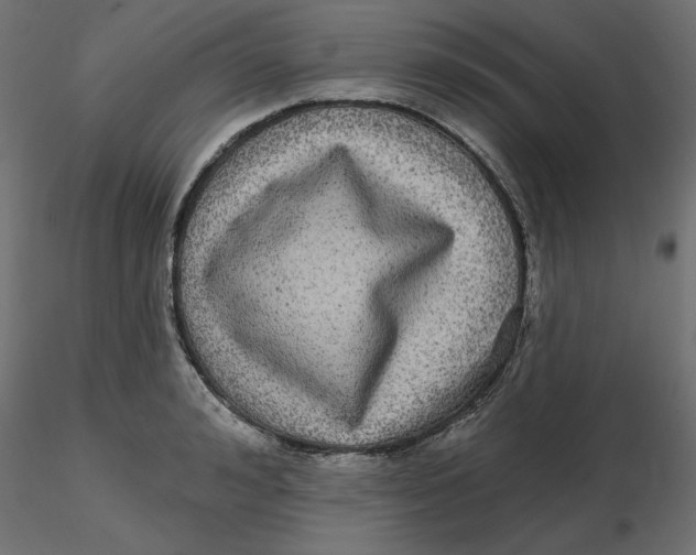 X0000116570992200912311950