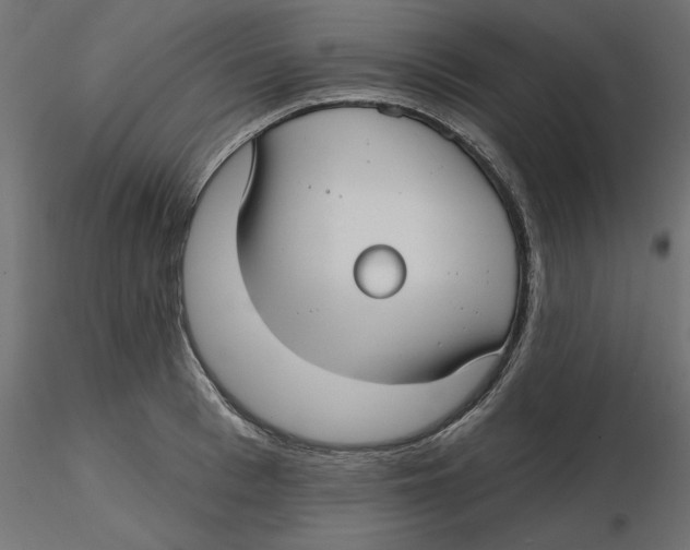 X0000116570993200912311950