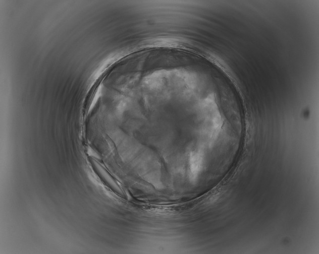 X0000116570994200912311950