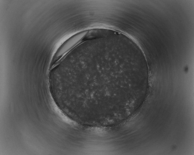 X0000116570995200912311949