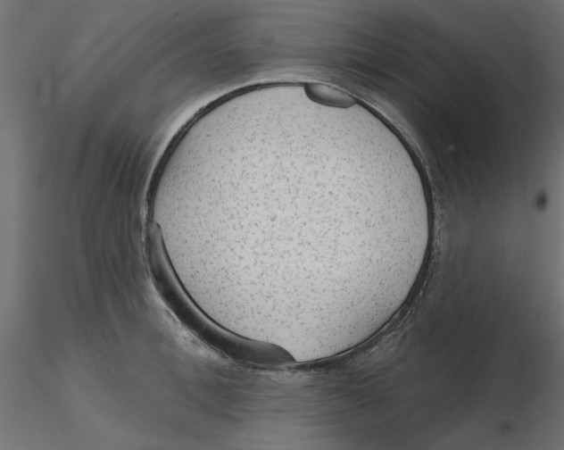 X0000116570996200912311949