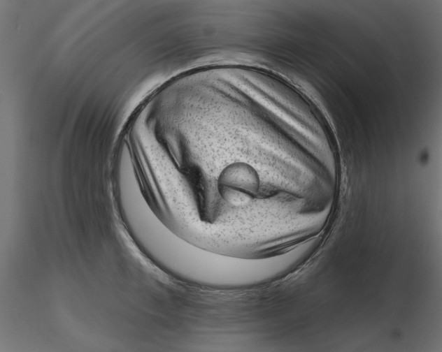 X0000116570997200912311949