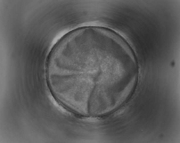 X0000116570998200912311949