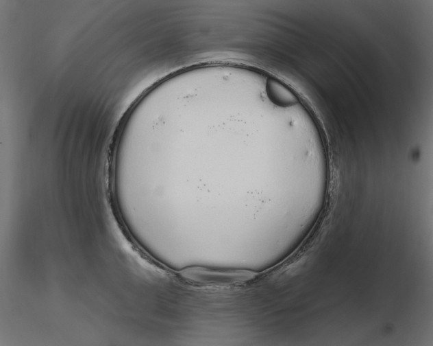 X0000116570999200912311949