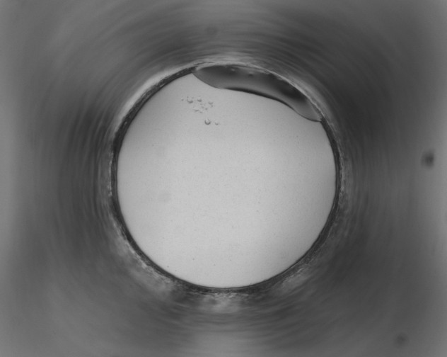 X0000116571000200912311949