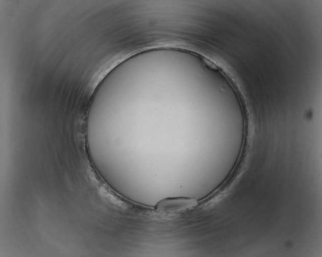 X0000116571001200912311949