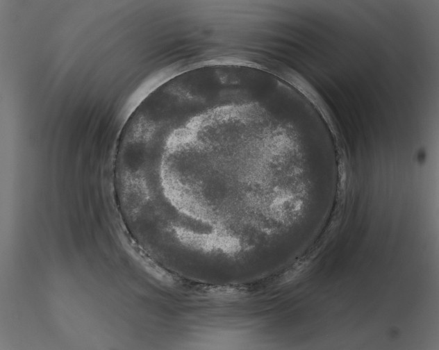 X0000116571002200912311949