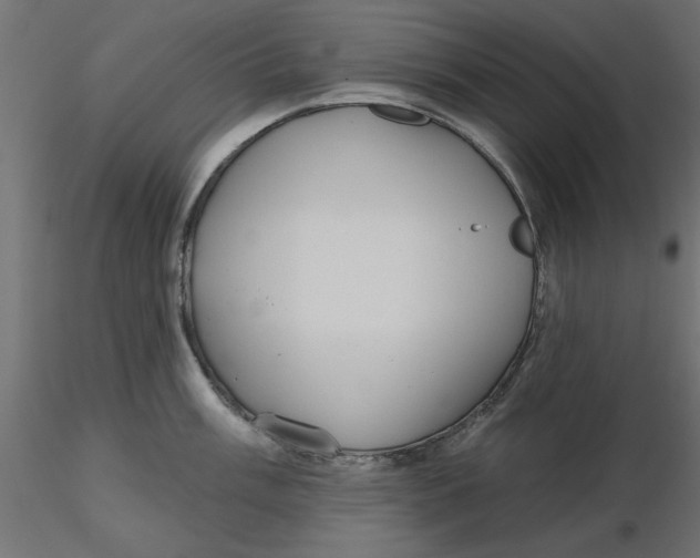 X0000116571003200912311949