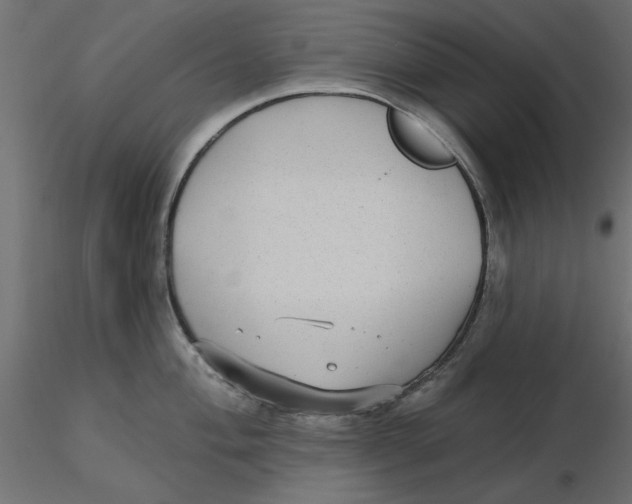 X0000116571004200912311949