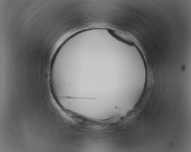 X0000116571005200912311949