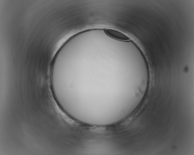 X0000116571006200912311949