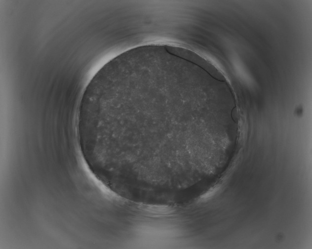 X0000116571007200912311949