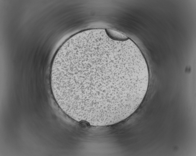 X0000116571008200912311949