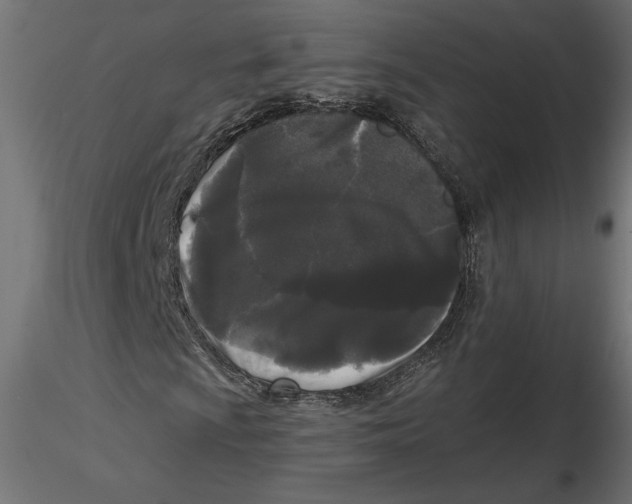 X0000116571009200912311949