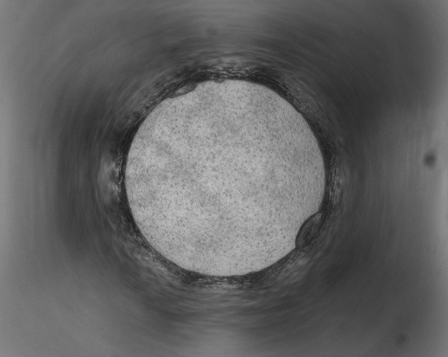 X0000116571010200912311949