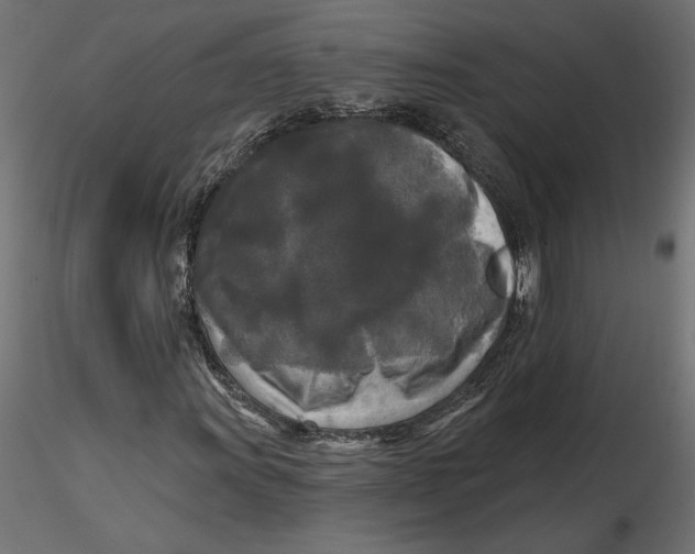 X0000116571011200912311949